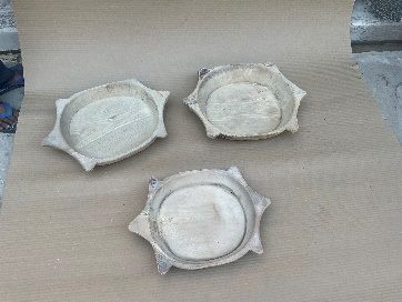 Tazón tortuga