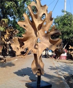 Teak Root Sculpture