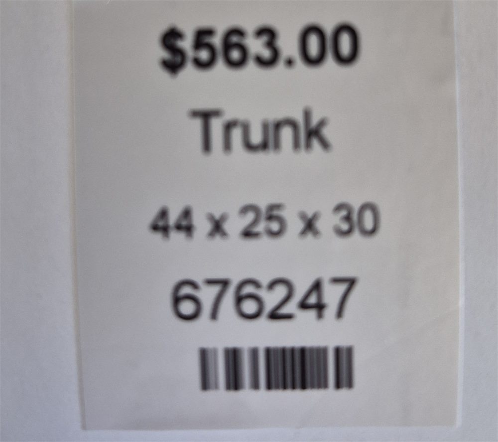 Trunk - Back