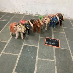 Elefante pintado