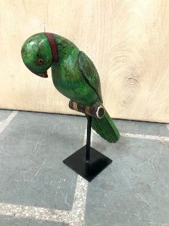 Parrot on Stand