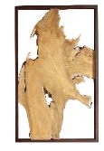 Decoración de pared de teca DG18 XL
